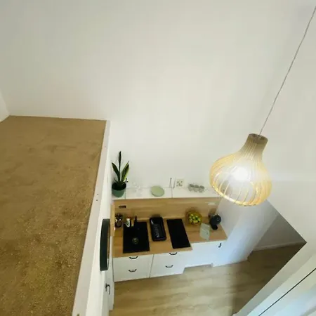 Downtownloftcluj *
